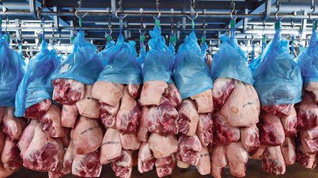 世卫组织：每年有超过35万人死于食物卫生问题