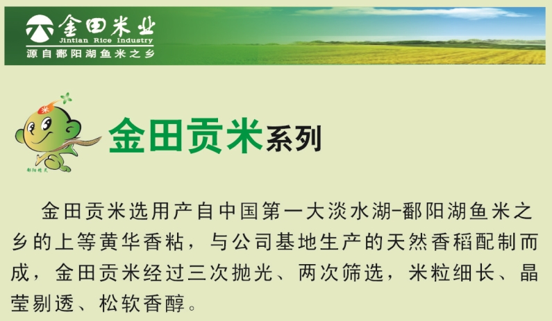 金畈 金田贡米