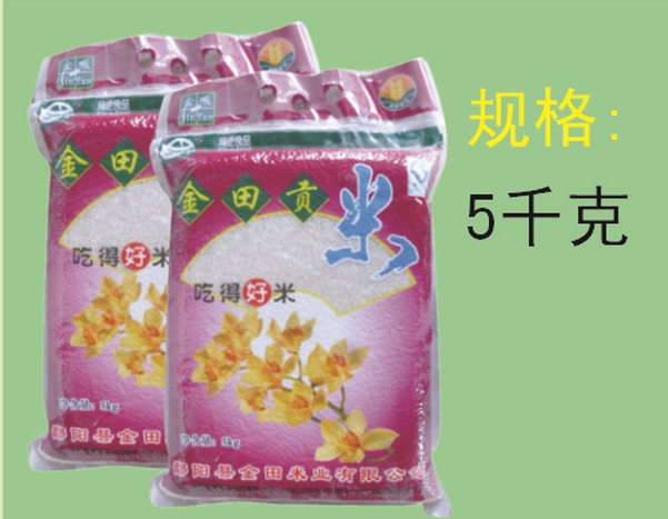 金畈 金田贡米