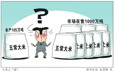 五常大米乱象透视大米之“谜”- - 粮油市场报主办
