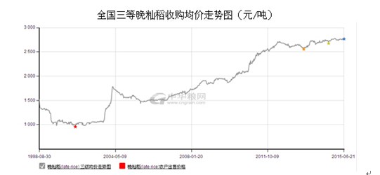 中晚籼稻市场行情分析预测