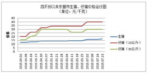 山东东营猪肉价格持续上涨四个月 _