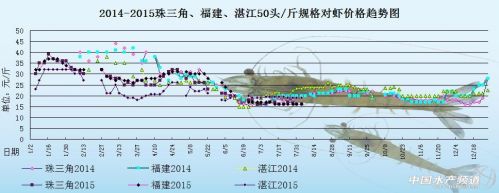 对虾塘边价：供应量减少 各地虾价维稳 _