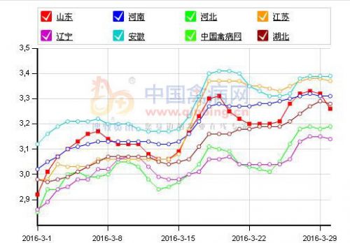 鸡蛋价格涨落并存 _