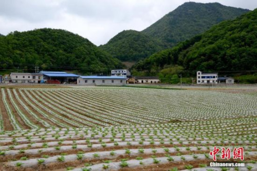 中国土壤污染防治划定时间表 36个部门将“协同作战”-