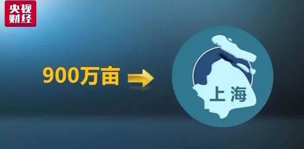 央视财经调研：大豆补贴困局-